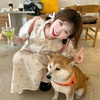 战犬瑞克斯